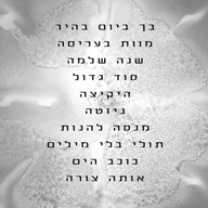 עטיפה אחורית